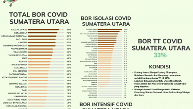 Bed Occupancy Rate (BOR) Sumatera Utara